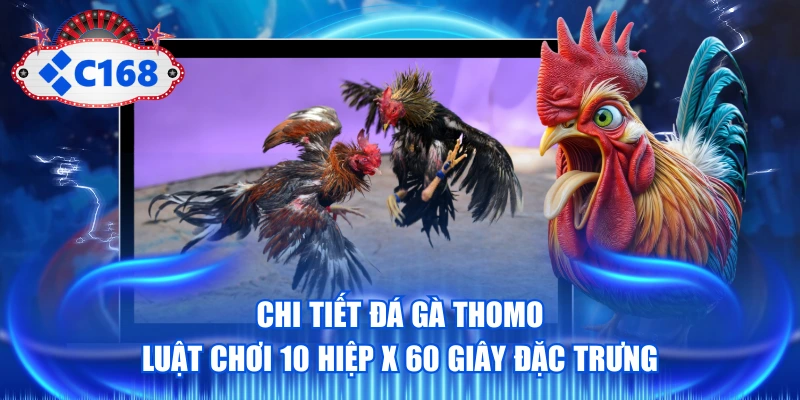 Đá Gà Thomo