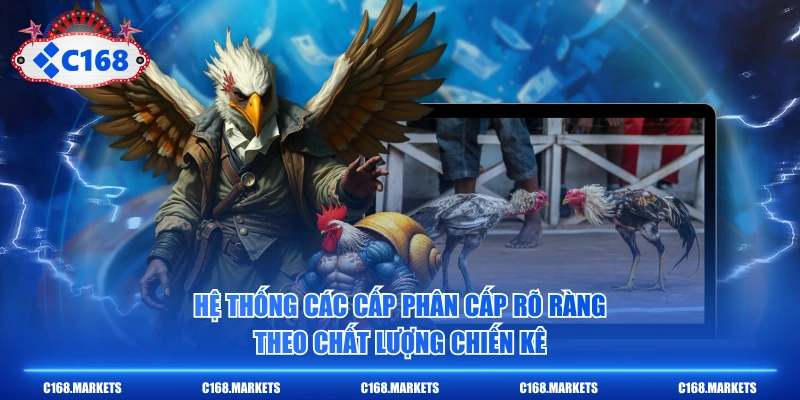 Hệ thống các cấp phân cấp rõ ràng theo chất lượng chiến kê